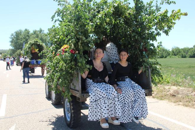 Corrales del Vino recupera su romería en carruaje
