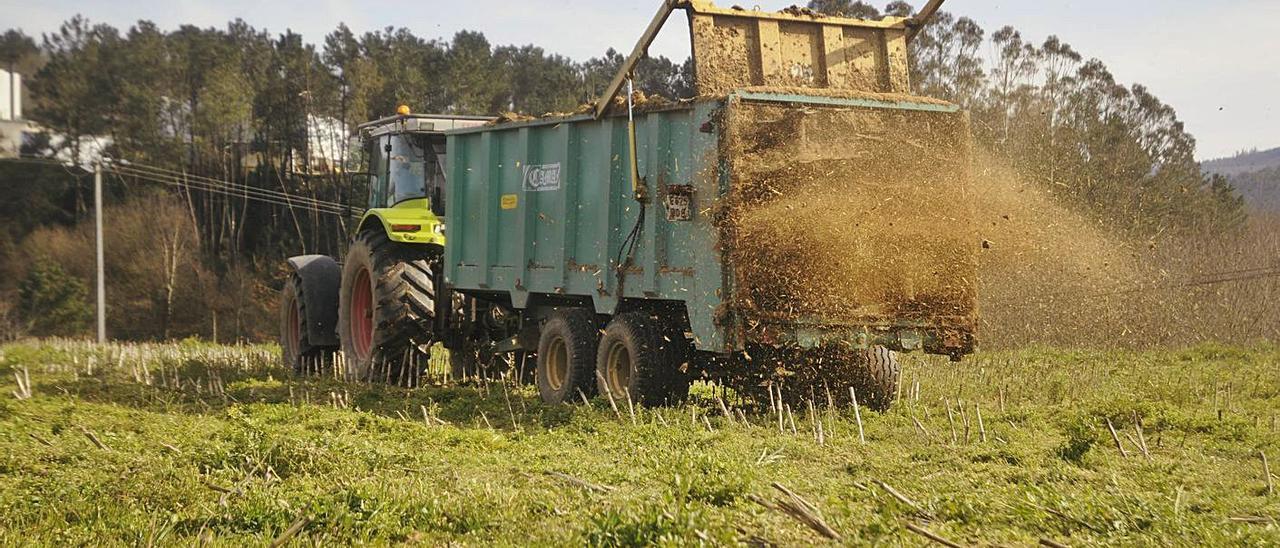 Una finca en la comarca del Deza. |  // BERNABÉ/JAVIER LALÍN