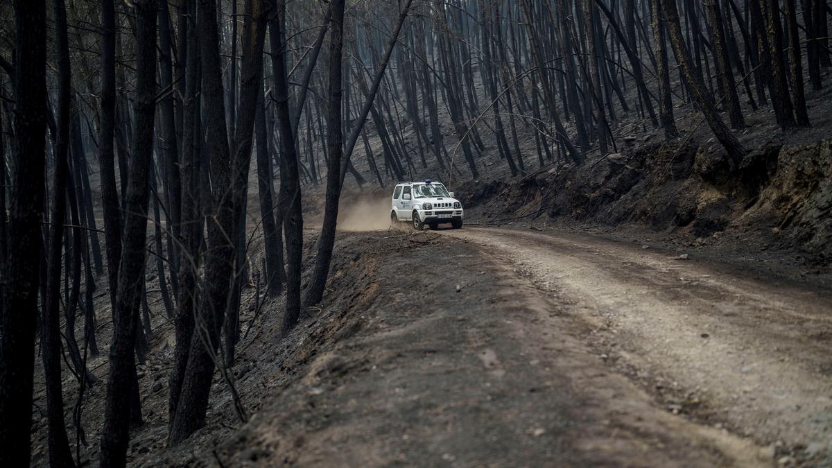 El fuego arrasa 1.450 hectáreas en la Ribeira Sacra lucense
