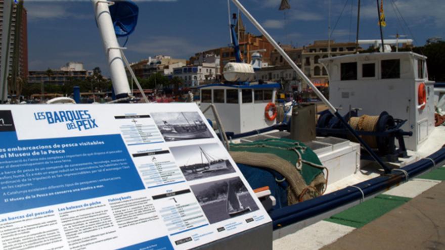 Visita guiada gratuïta a les Barques del Peix