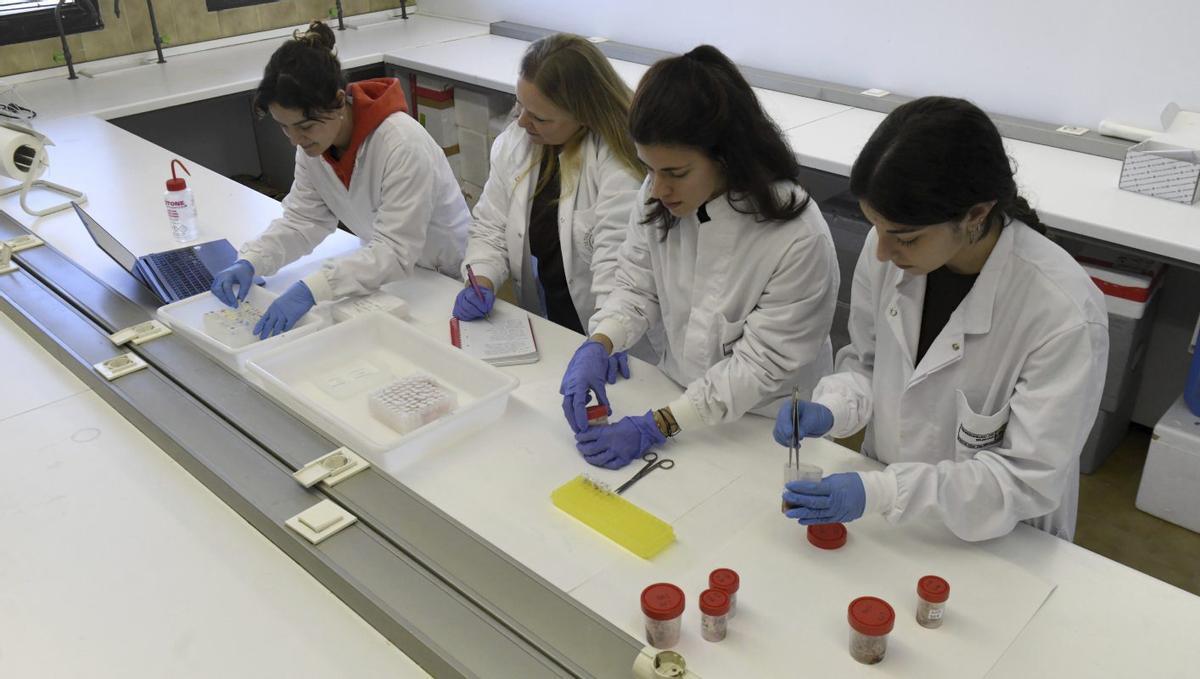 El grupo de investigación de Toxicología que está llevando a cabo el proyecto.