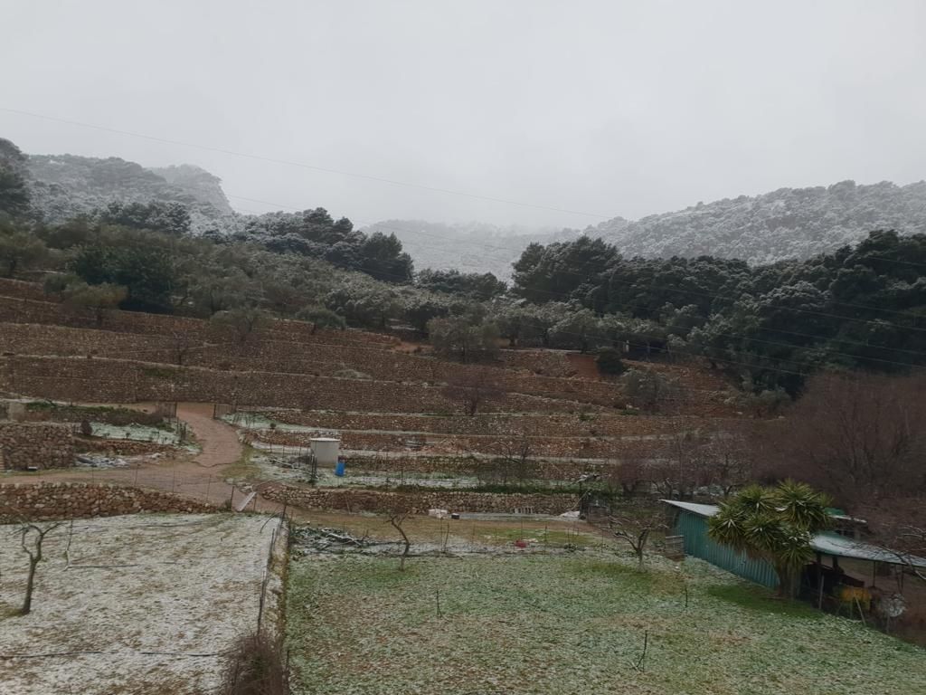 La nieve vuelve a Mallorca