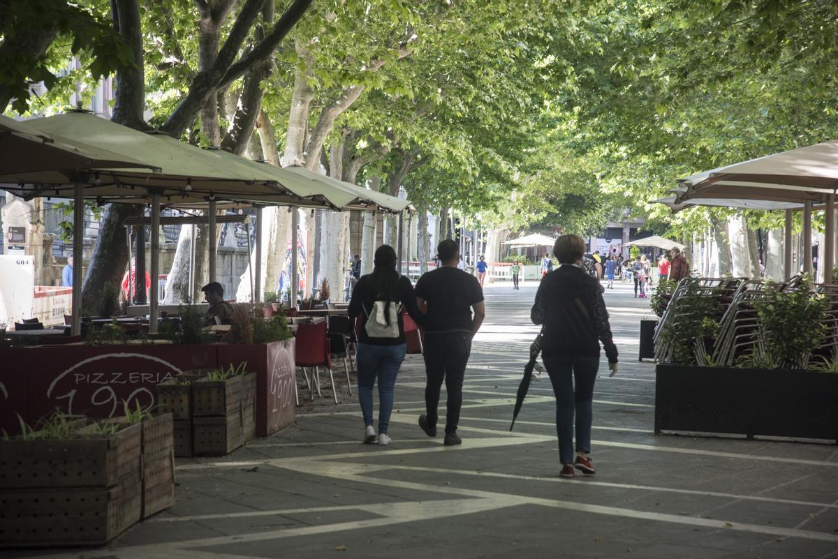 Un tram del Passeig Pere III de Manresa ple de plataners