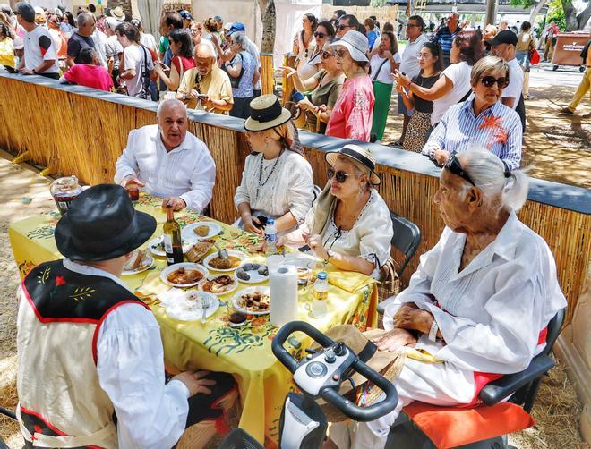 Actividades por el Día de Canarias en Santa Cruz