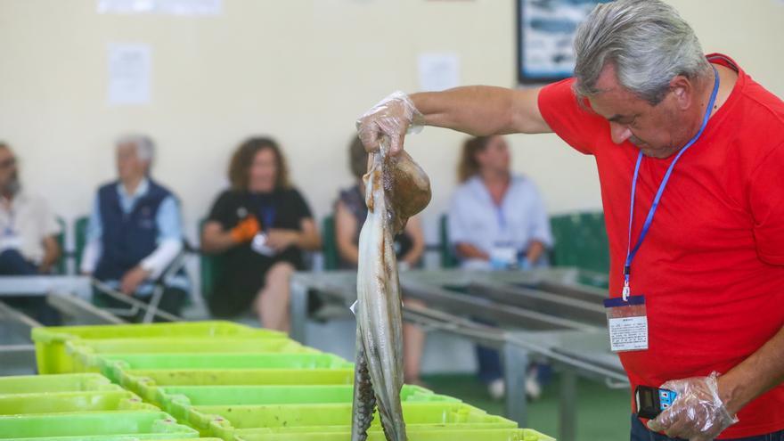 Las lonjas salvan los muebles en el primer semestre