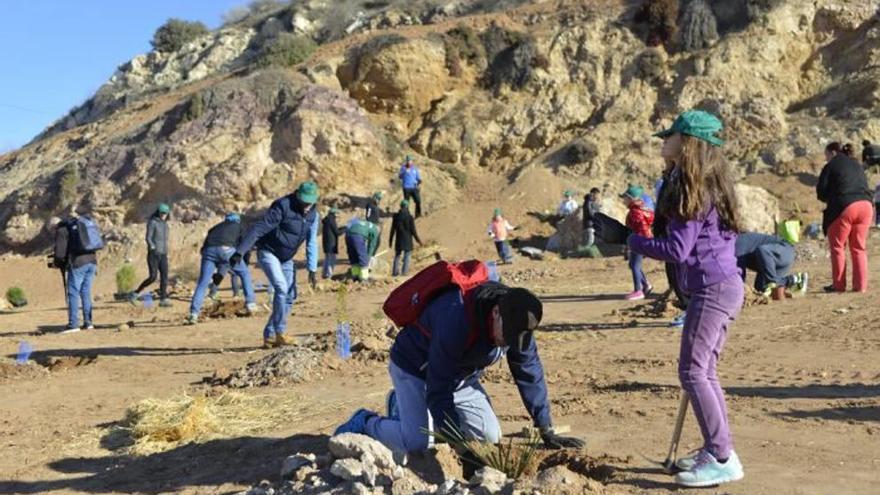 Reforestación masiva en el Cerro de los Moros