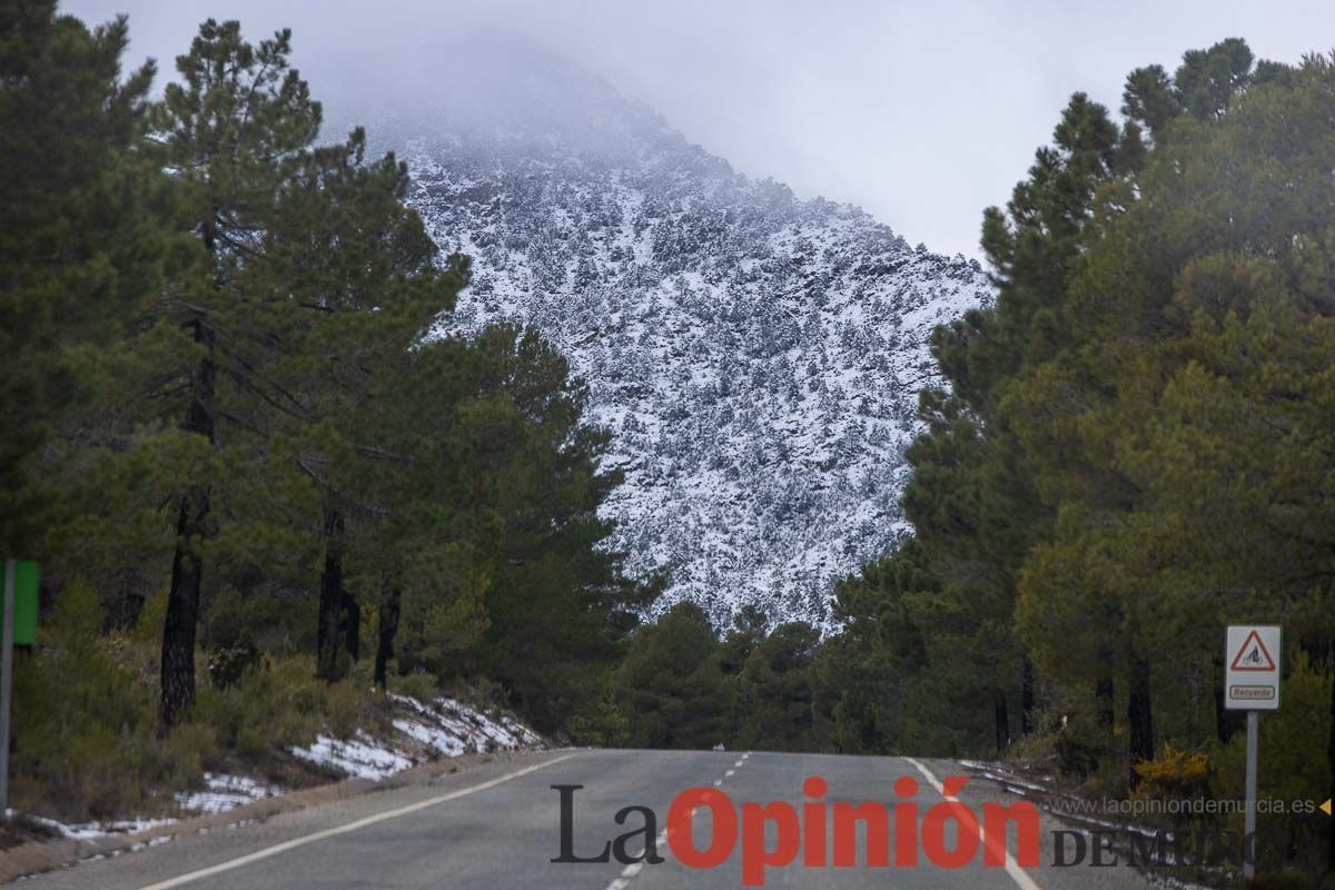 La comarca del Noroeste ofrece una estampa invernal