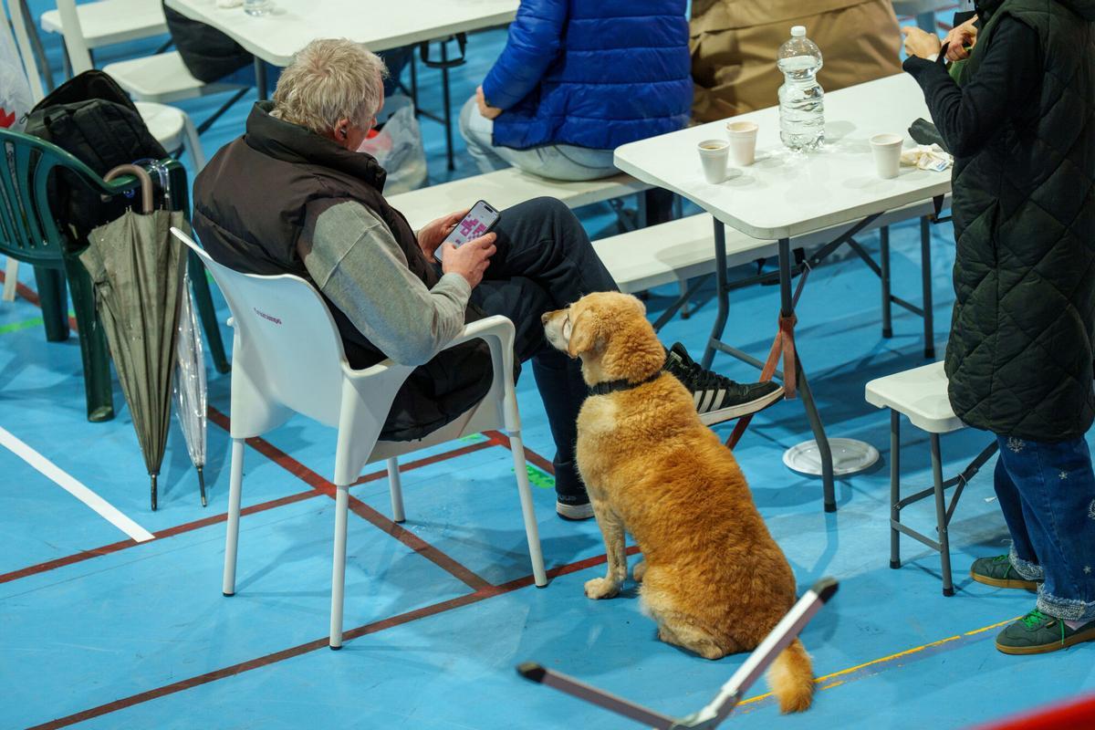 Un desalojado, junto a su perro.