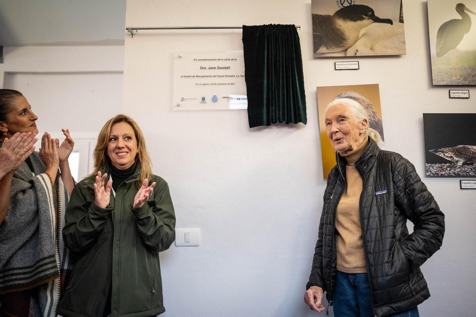 Jane Goodall visita distintos lugares en Tenerife