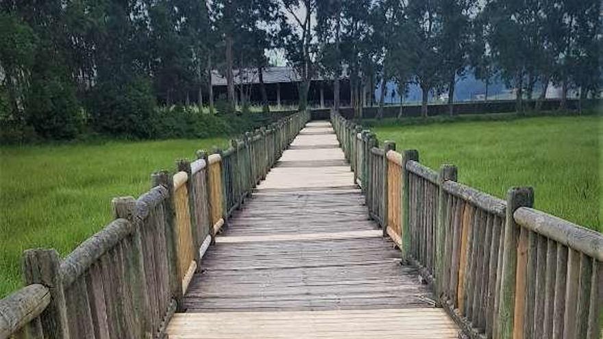 Uno de los laterales del mirador de madera fue arrancado y está destrozado, tirado entre los juncos. // FdV