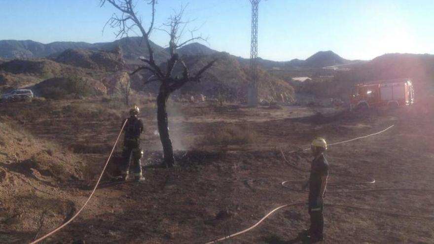 Los bomberos sofocan un incendio forestal en El Moralet