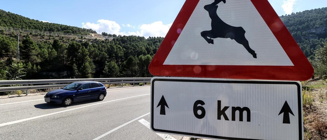 Señal advirtiendo de la posible incursión de animales en la calzada en la N-340 en las proximidades de Alcoy.