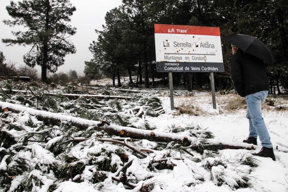 La nieve vuelve a la provincia en primavera.