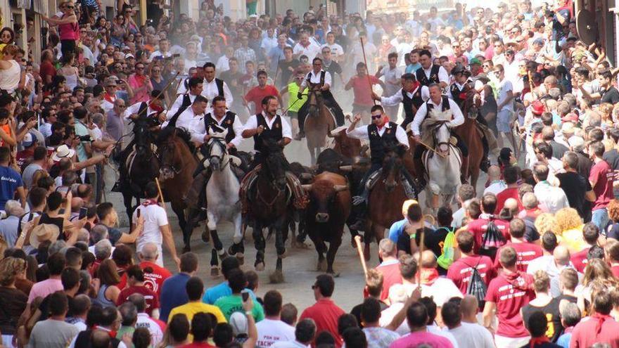 Segorbe roza el 100% de ocupación para la Entrada de toros y caballos