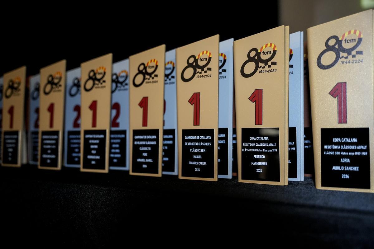 Els premis lliurats en l'edició del 2024.