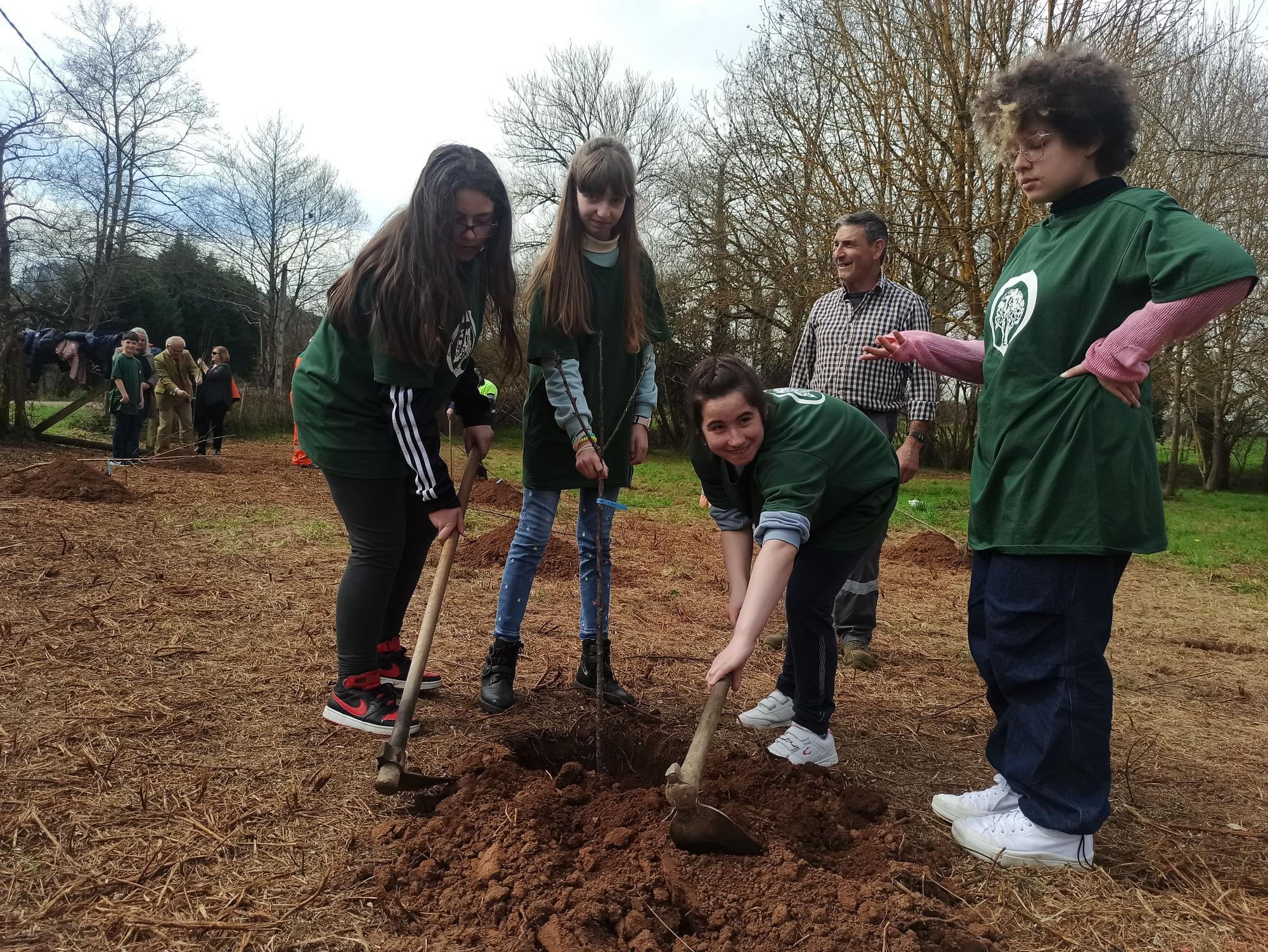 Los escolares de San Cucao ponen freno a la huella de carbono con la plantación de árboles frutales, así fue la jornada ambiental