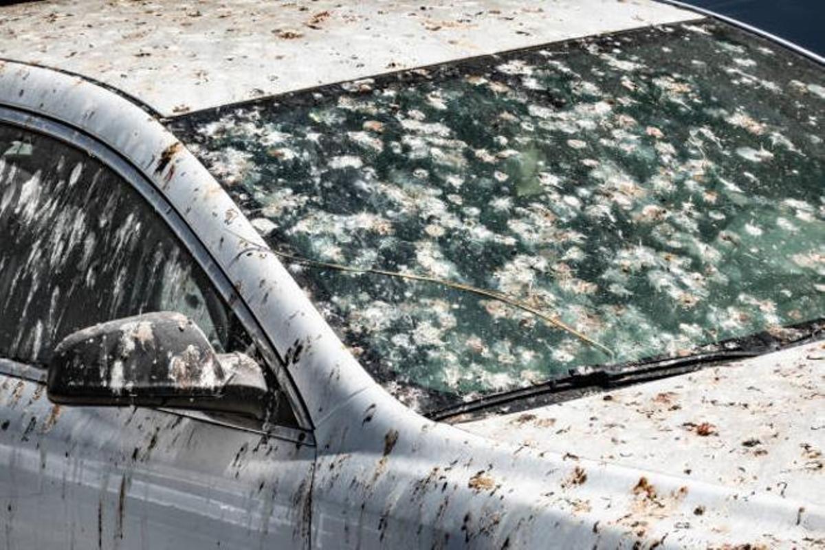 Cuidado: Estas son las multas que te pueden poner por tener el coche sucio