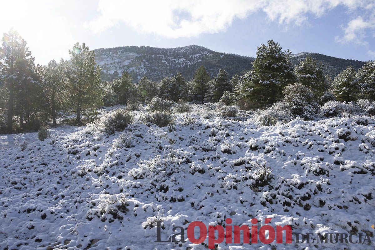 La nieve se hace presenta en las proximidades de Revolcadores