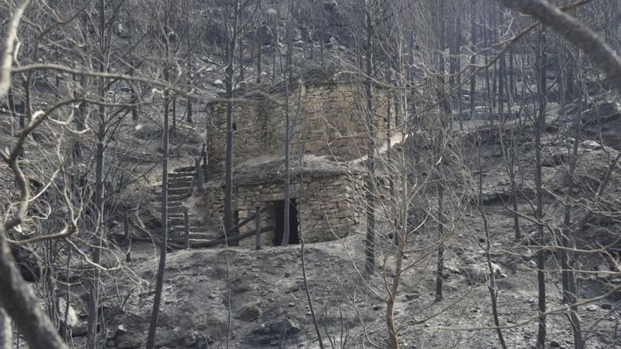 Així ha afectat el foc les tines de la Vall del Flequer