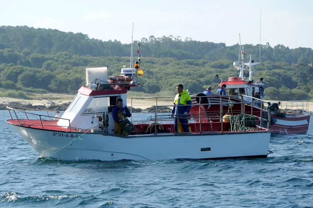 Primera jornada de pesca de pulpo en Arousa // I.Abella