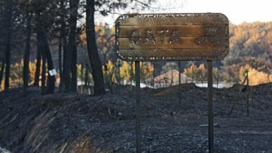 Estabilizado el incendio de la Sierra de Gata