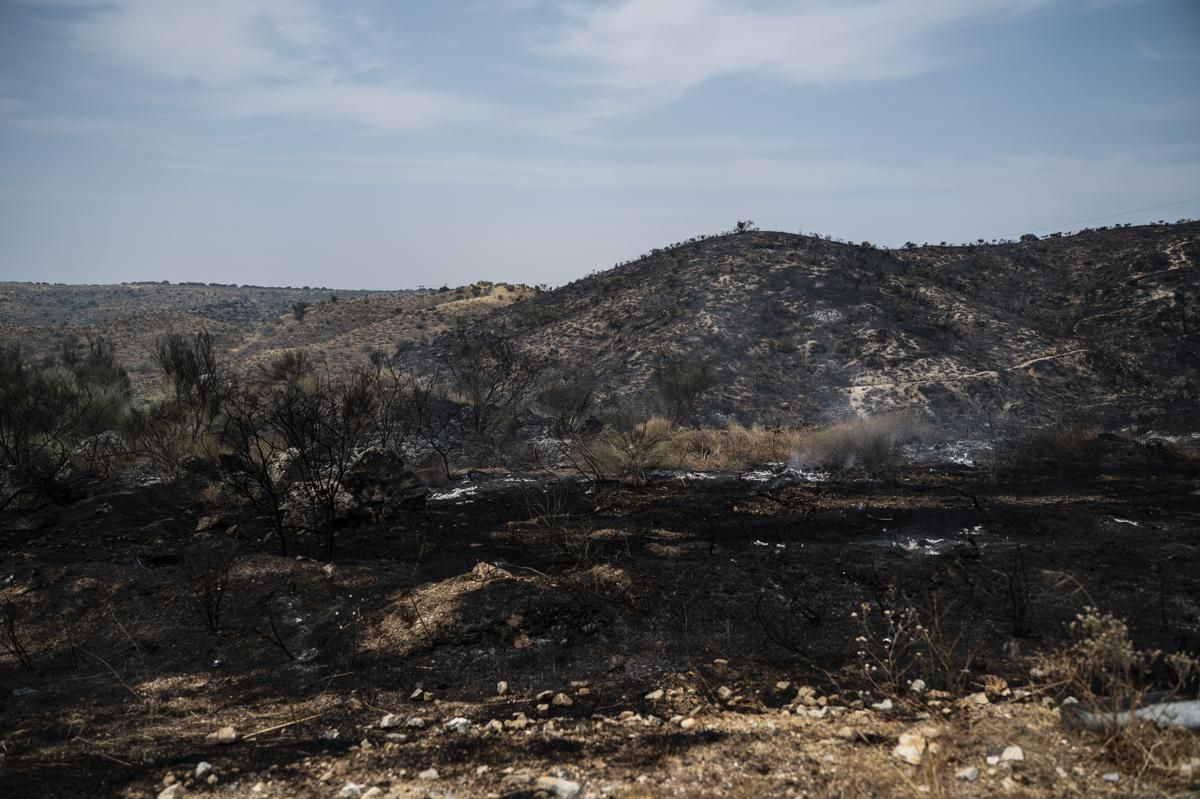 Fotogalería | Así ha sido el incendio forestal en Garrovillas de Alconetar