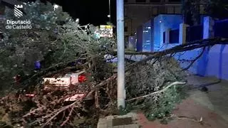 Temporal de viento: Emergencias no descarta el nivel rojo por el temporal del viento en Castellón