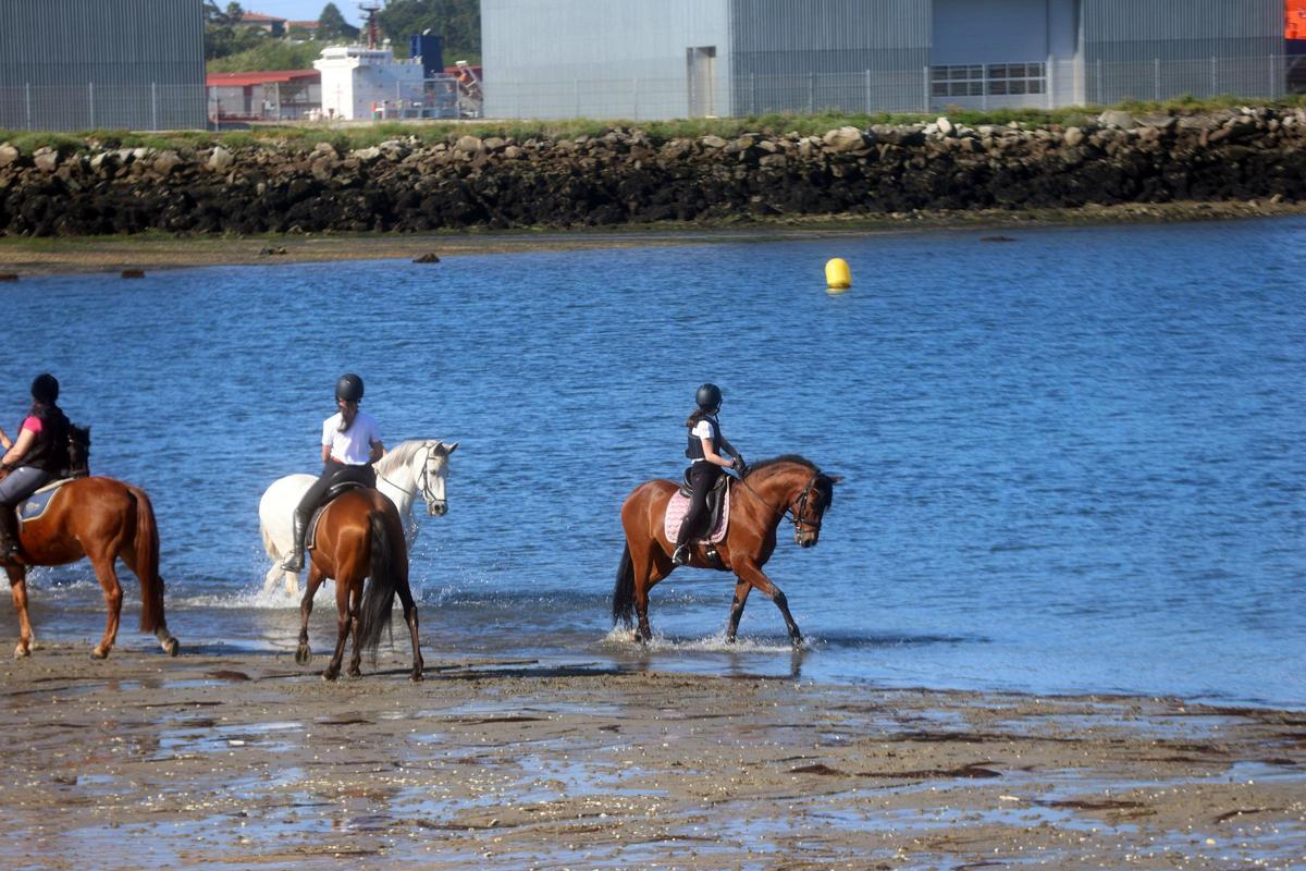 Un paseo hípico por la playa de A Concha-Compostela.