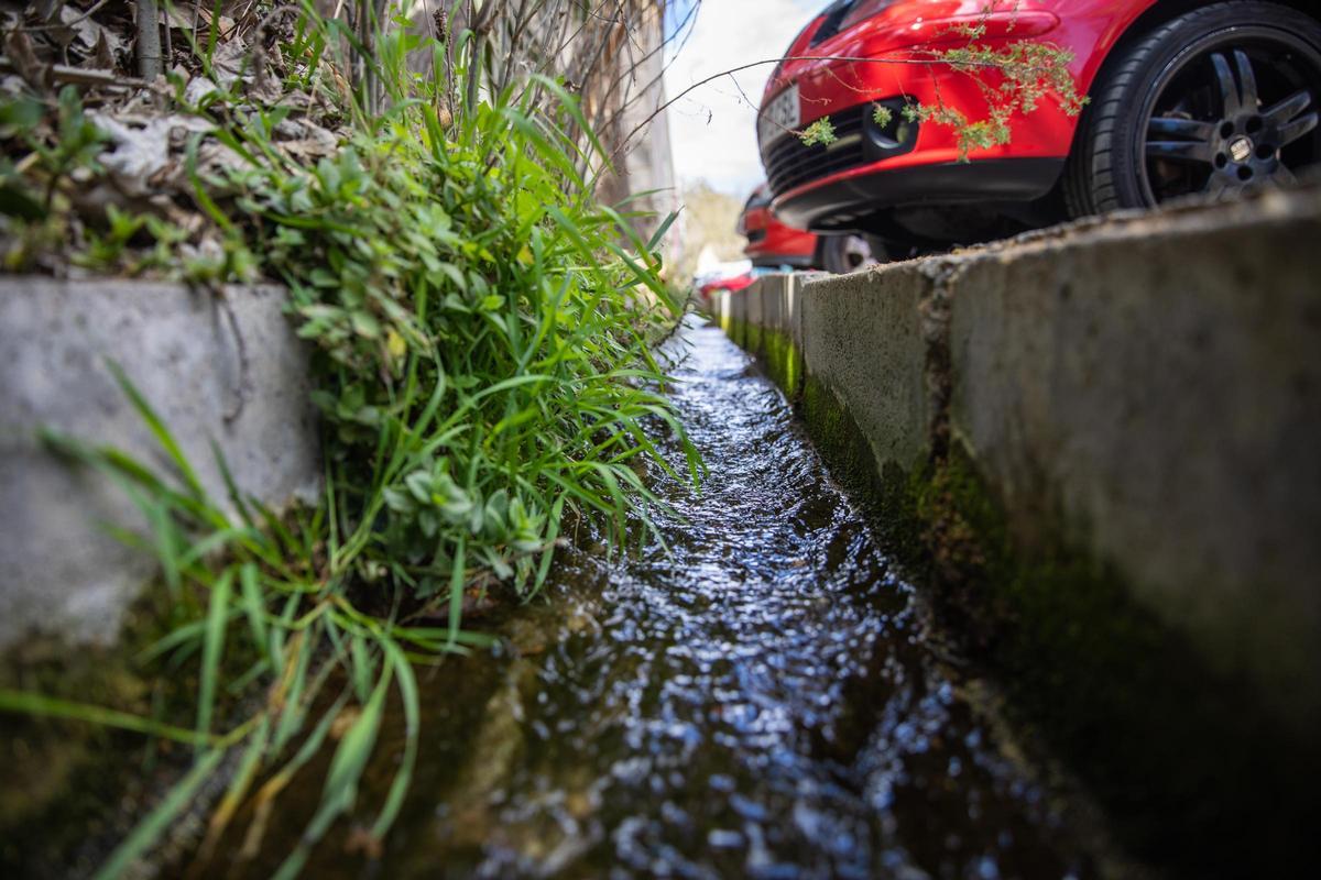 La riera de Canyet de Badalona, donde desde hace años se ha localizado una fuga de agua potable