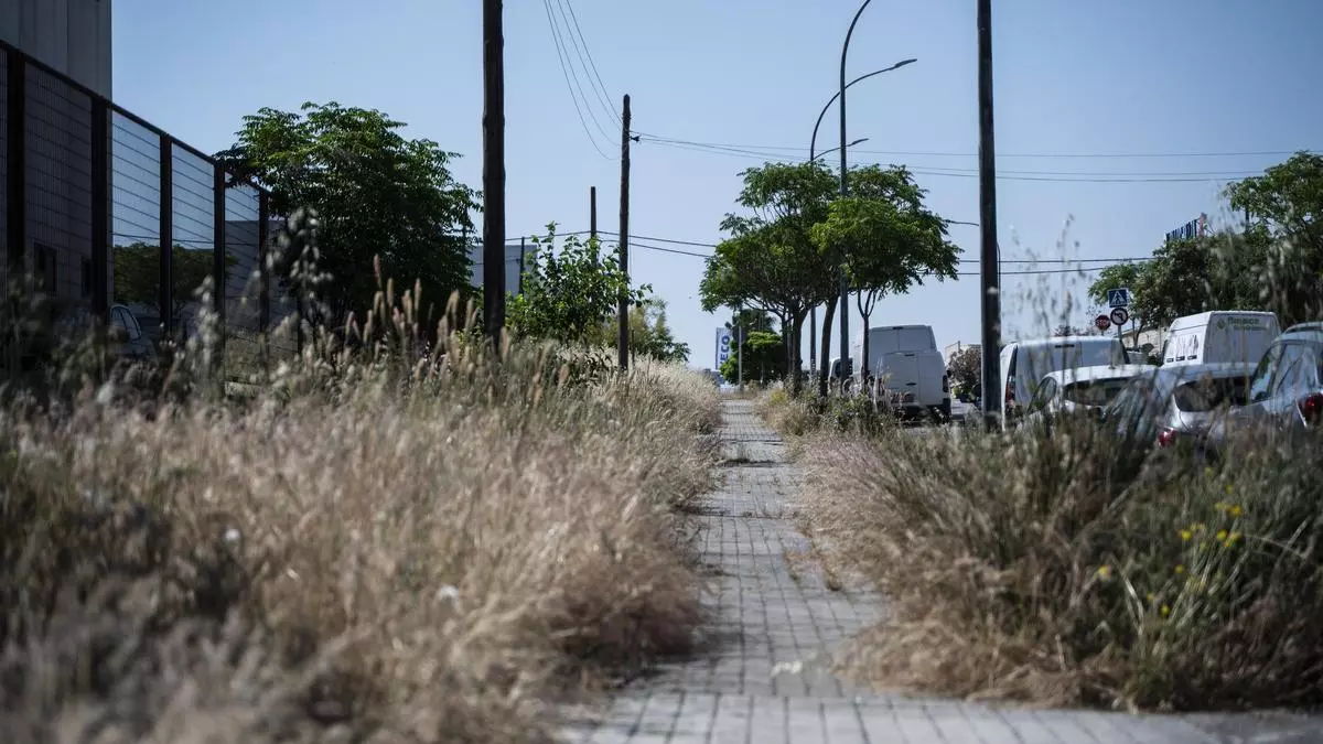 Capellanías, un polígono olvidado en Cáceres: "Aquí no se ha hecho nada en muchos años"