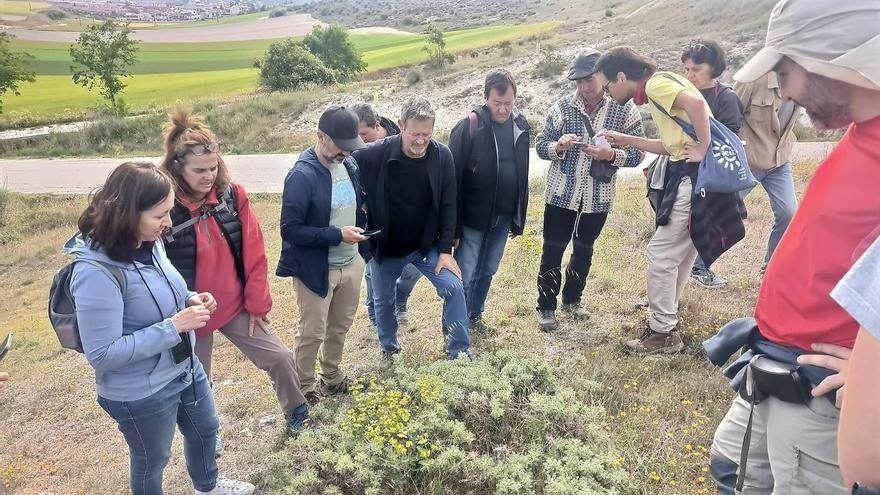 Biomaratón de Flora con actividades públicas en toda España hasta este domingo 18 de mayo