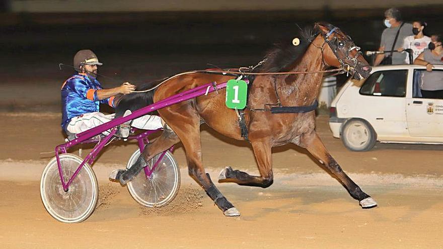 Ut d’Ylea consigue su segunda victoria.