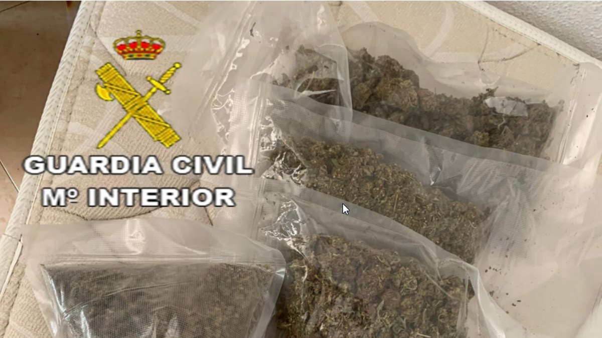 Alijo de marihuana envasada para enviar por paquete postal, incautado en Marbella en julio de 2020