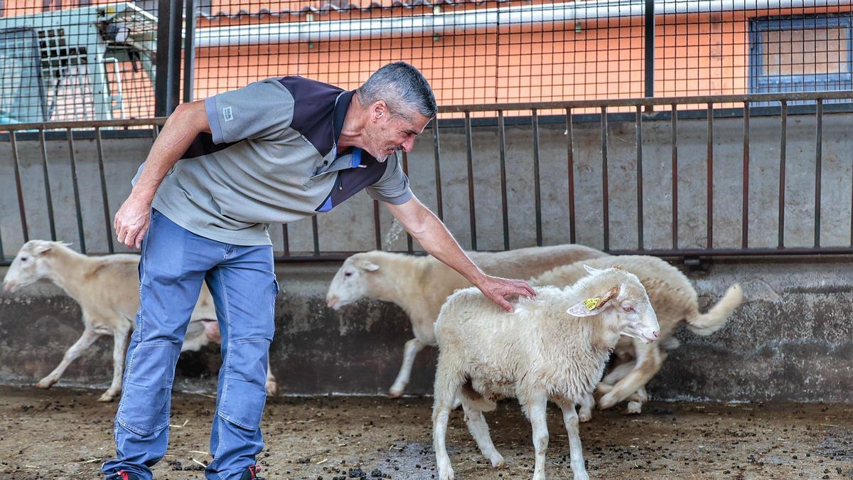 Inauguración del encuentro ‘Relevo Generacional Agrario 2026’