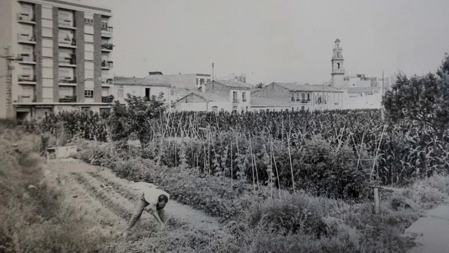 La Valencia desaparecida: &quot;Todo esto antes era huerta&quot;