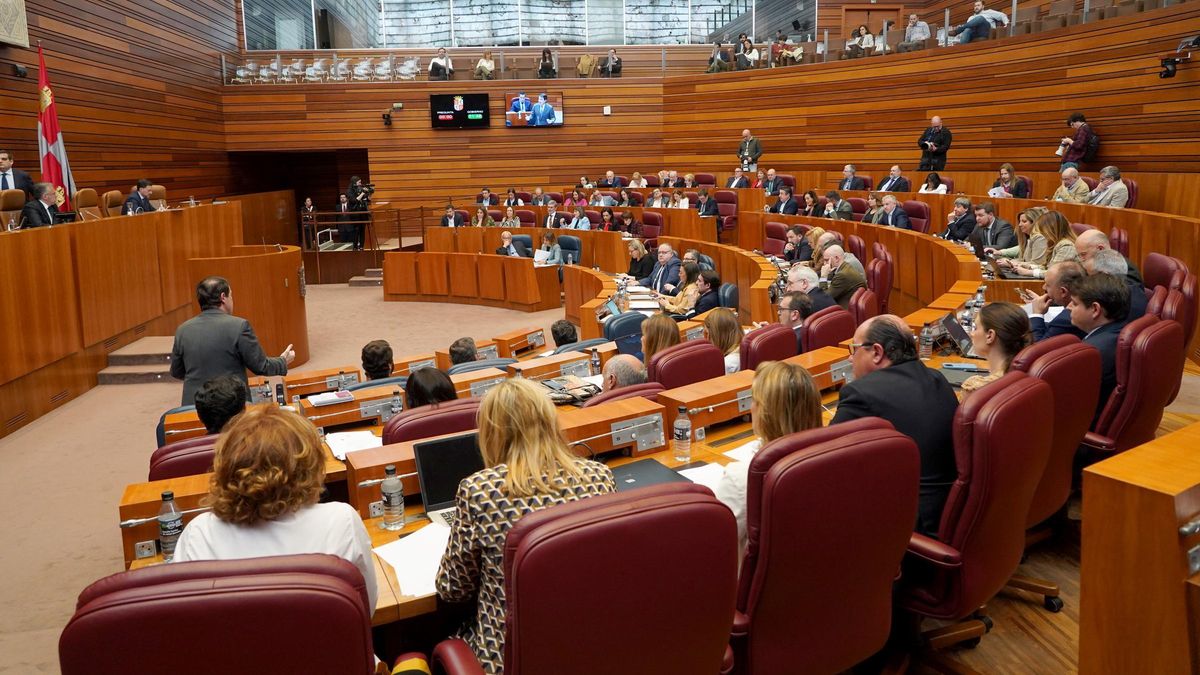 Pleno de las Cortes de Castilla y León.