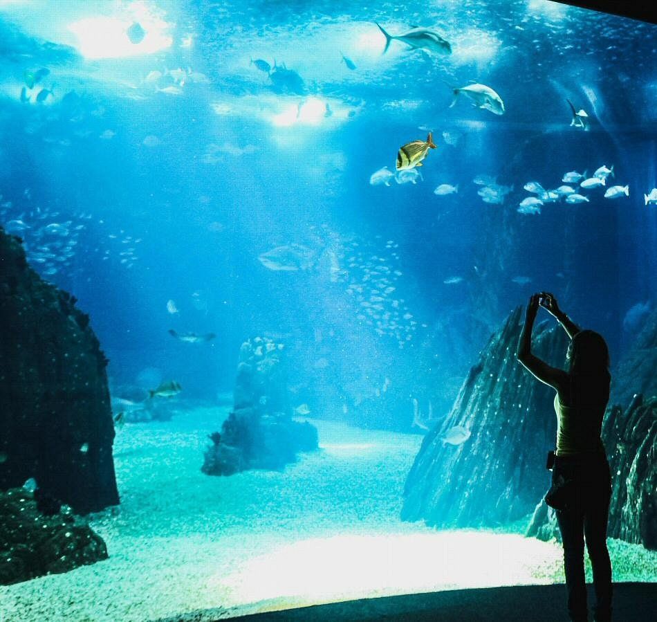 Oceanario de Lisboa