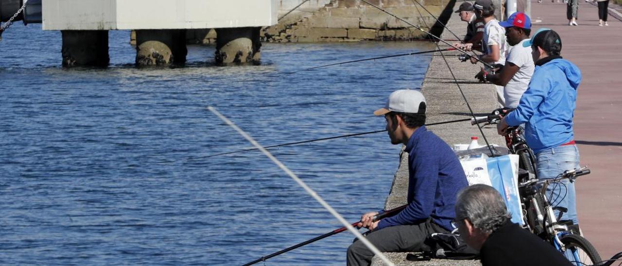 Decenas de pescadores eligieron ayer el espigón del Náutico para practicar una de las aficiones más aplaudidas en la urbe olívica. // J. Lores