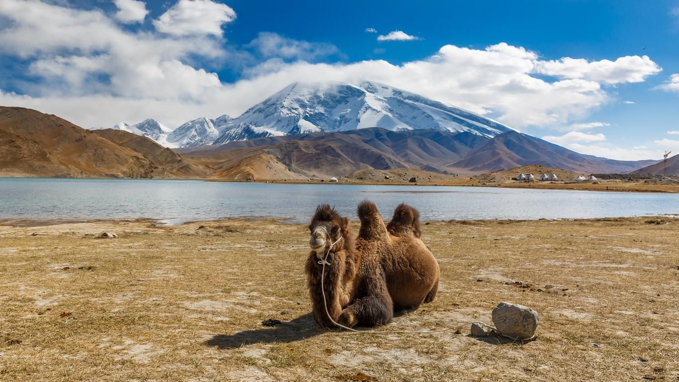Camello frente al lago Karakul.