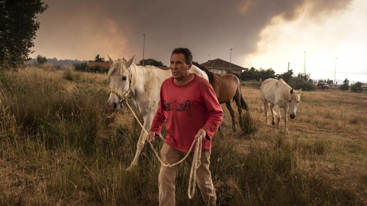 Vecinos de los pueblos del valle del Tera luchan por defender sus propuedades durante la jornada de ayer. | Emilio Fraile