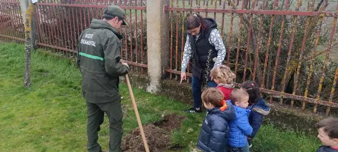 GALERÍA | Día del Árbol en Sayago con plantación de encinas y alcornoques