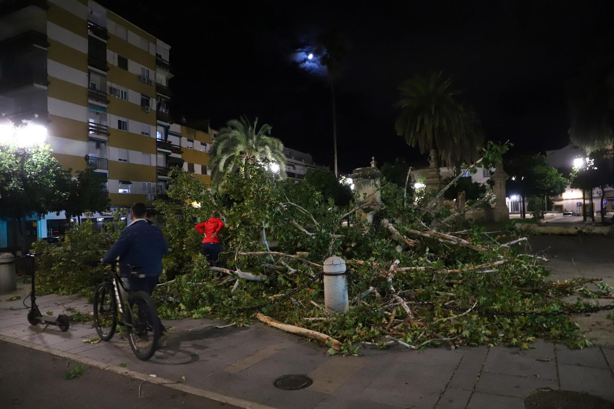 Los efectos del temporal en Córdoba, en imágenes