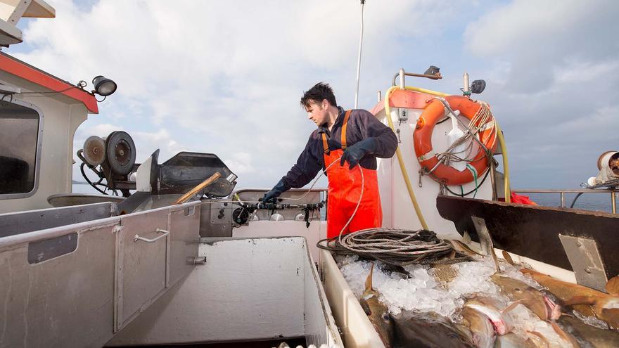 Motor y pesca siguen copando la mayoría de empresas “cienmillonarias” viguesas