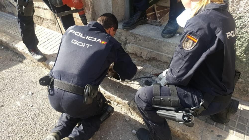 Sechs Festnahmen bei Drogenrazzia in Palma