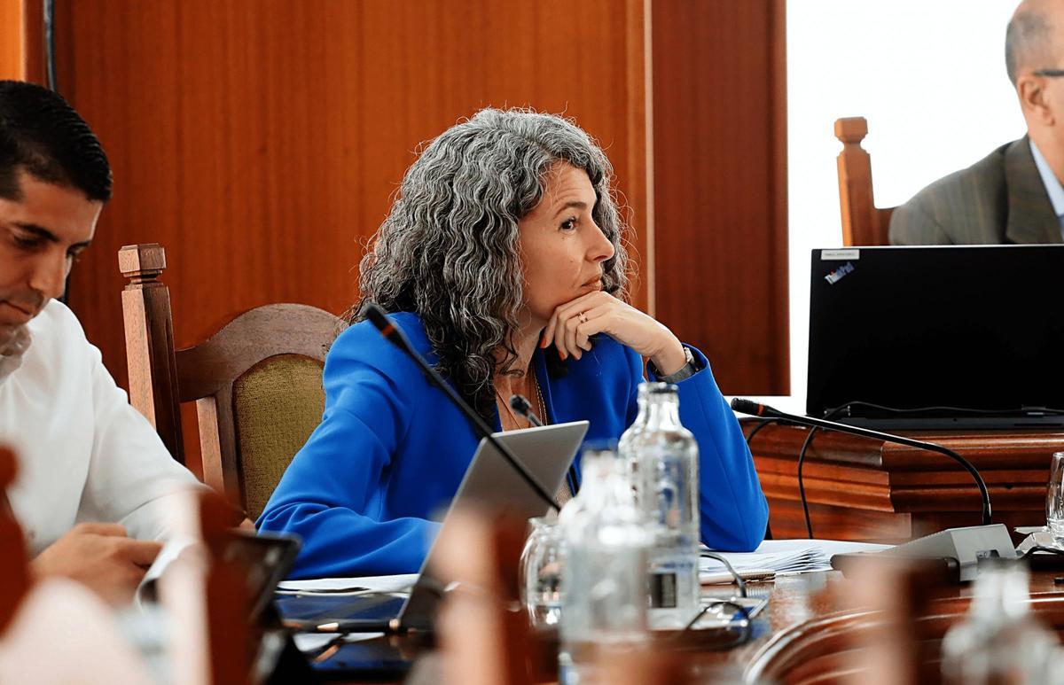 Ariagona González, consejera del PSOE en el Cabildo de Lanzarote