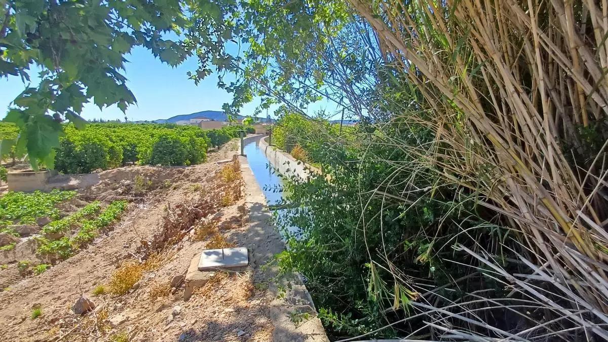 Acequia de riego en Raiguero de Levante, huerta tradicional de Orihuela