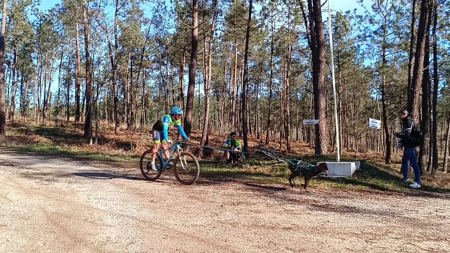 El club de canicross de Llanera prepara una carrera popular en la zona de maniobras de Cabo Noval