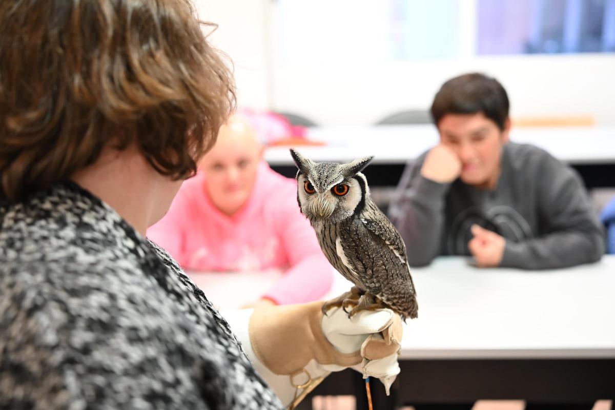 Terapia con aves rapaces para personas con diversidad funcional