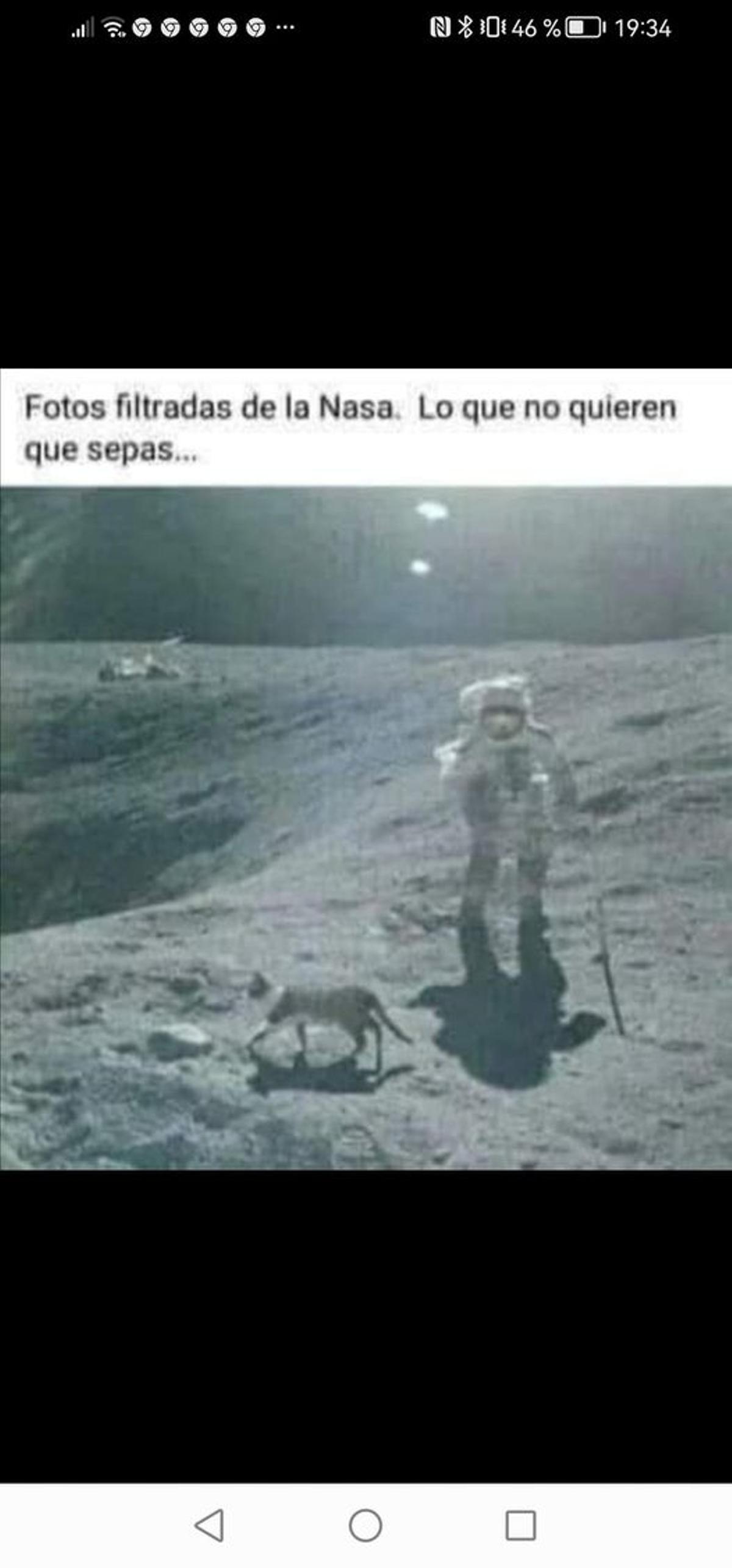 La imagen con el gato y el astronauta en la Luna.