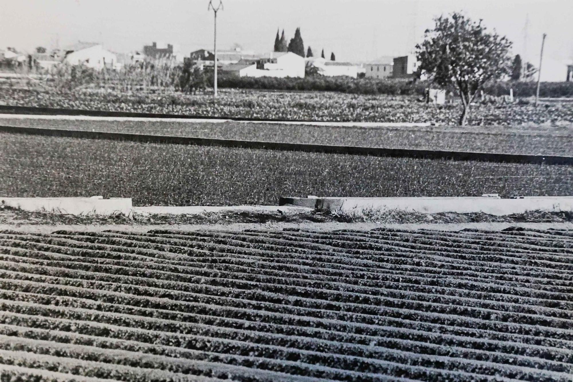 La Valencia desaparecida: Todo esto antes era huerta